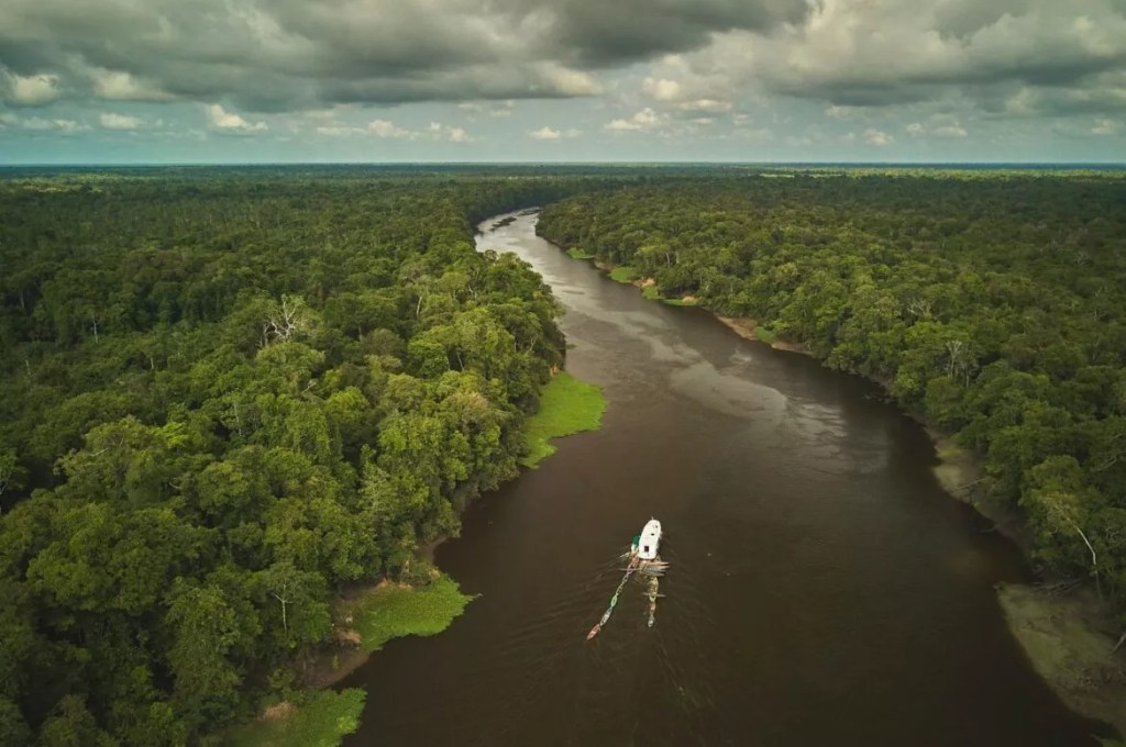 FAS promove debate gratuito sobre caminhos para o desmatamento zero e ação climática na Amazônia nesta quinta