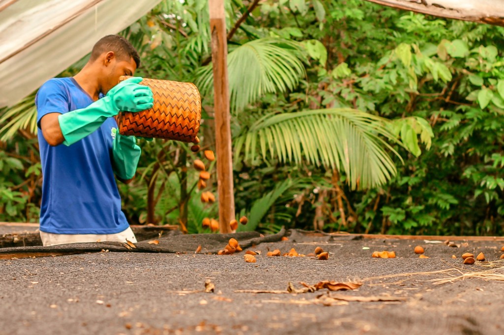 Edital de Apoio a Coletivos da Sociobioeconomia divulga resultado final com cinco iniciativas selecionadas na Amazônia Legal