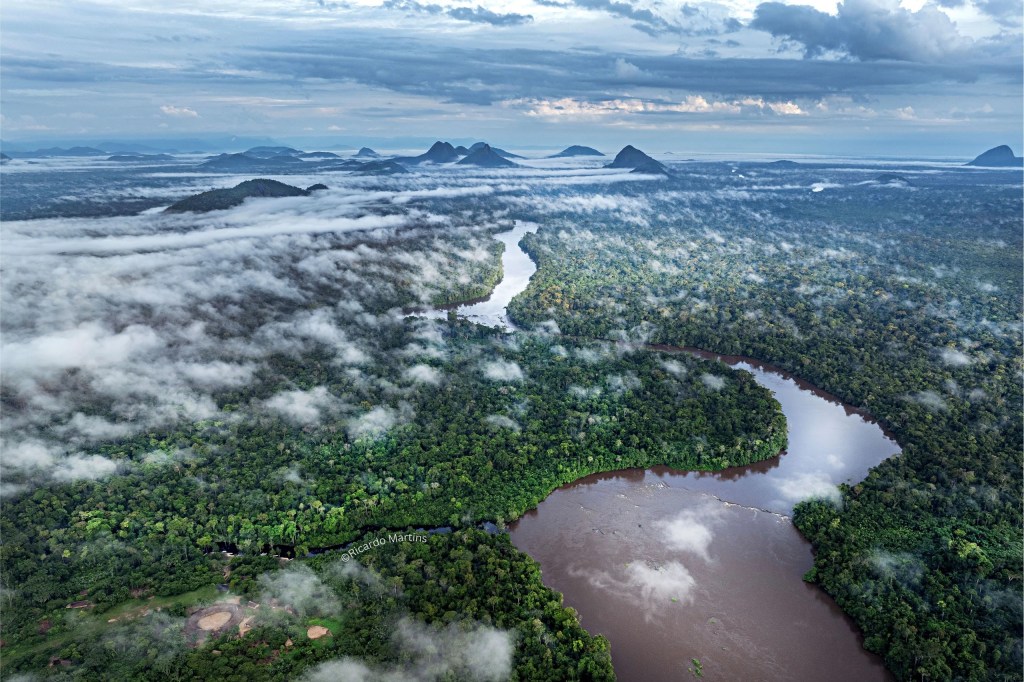 Negócios de bioeconomia na Amazônia crescem mais de cinco vezes em oito anos, aponta estudo da&nbsp;CERTI